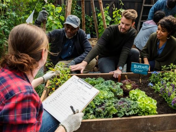 students in a community garden