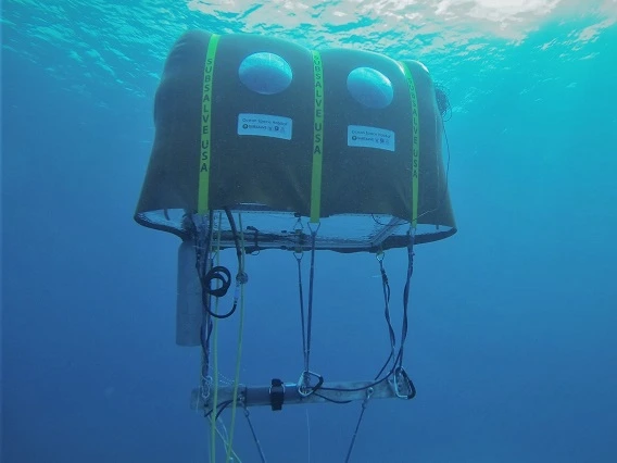 The Ocean Space Habitat was customized for Shark Week and includes the University of Arizona logo.