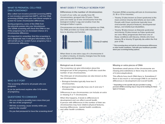 preview of brochure
